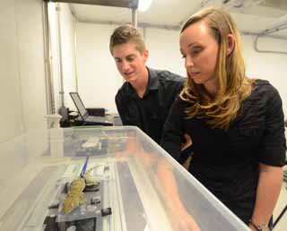 "Alyssa Stark, PhD candidate in Integrated Bioscience and Timothy Sullivan, undergraduate student in Biology: at the University of Akron."  Photograph courtesy of University of Akron